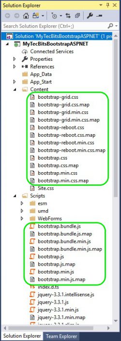 How To Add Bootstrap In ASP.NET (MVC & Web Forms) | My Tec Bits